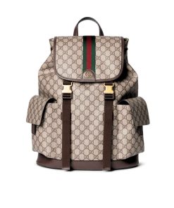Gucci Ophidia Large Backpack Beige And Dark Brown 46Cm 839110 Faewq 9845